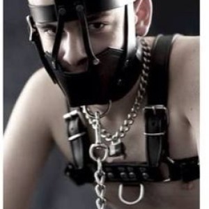 Xtudr - ponmecollar: Getting to know dominant men or people into this scene.
I'd like to find a guy to live with, where we can be together w...