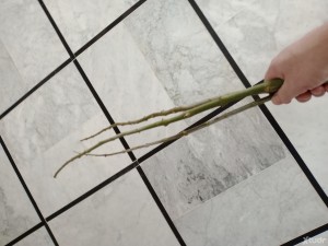Xtudr - Bofetadasyazotes: Busco tíos anchos, gordotes, peludos para abofetear y azotar.
