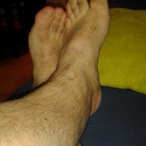 Xtudr - XBear: What are you looking for today?