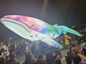 Xtudr - PerritaCachonda: Faggot submissive looking for male to be his bitch