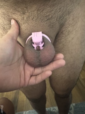 Xtudr - AmoLeafar: I'm a Dominant man, with several years of experience in the BDSM world.
The use of chastity on my submissives is essentia...