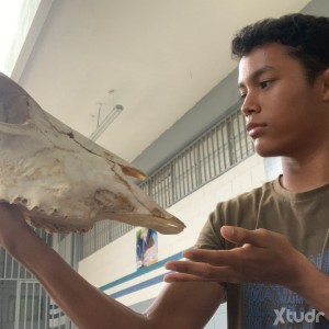 Xtudr - gusta_wito: Busco algo divertido, conocer gente y ver que tal 