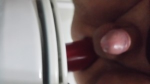 Xtudr - ositoAPM: In search of a dominant man to serve.
