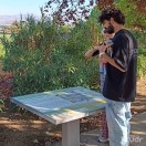 Xtudr - arshei: NO COBRO NO PAGO
So...