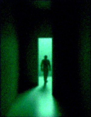 EL SINDICATO: LA SALA B Y LOS DÍAS DOBLADOS


PARTE I: LA DECISIÓN TIENE TEXTURA


No hay puerta que se abra. La pared de tu celda simplemente desaparece. No se desliza, no se levanta. Un segundo está ahí, sólida y gris, y al siguiente es aire. Como si nunca hubiera existido. Tu cerebro tarda tres segundos completos en procesar que las leyes físicas en este lugar son negociables.


"Interesante. Respuesta genital