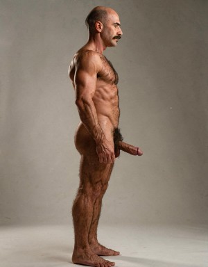 Mike Morris, a 32-year-old extremely lean Caucasian male with only 8% body fat, stands completely naked in a rigid military attention pose captured in a full-body exact side profile at 90 degrees from his right side. The shot runs uninterrupted from the tips of his size 44 slightly hairy feet all the way up to the top of his bald head, showing his entire body without any cropping whatsoever. His physique is dry, highly vascular and powerfully defined: massive square pectorals seen in perfect side silhouette, dense dark brown chest hair forming a thick T-pattern that continues across his shoulders and back, sharply carved six-pack abs in clear profile, narrow waist, wide flaring lats, powerful thighs and diamond-shaped calves covered in the same dark hair. Dramatic directional studio lighting falls from high and slightly in front of him, creating strong rim lighting that traces every sharp edge of his muscular outline, accentuating the texture of his dense dark body hair on chest, shoulders, lower back, ass and legs, while producing deep shadows that highlight every muscle separation, vein and the extreme dryness of his 8% body fat. His advanced Norwood III-IV bald scalp is clearly visible under the light, with very short dense dark brown hair only on the sides and back of his head. His square, angular face is shown in pure right profile: strong jawline, prominent chin with slight central dimple, thick well-groomed dark handlebar mustache, heavy brow and intense deep-set brown eye staring straight forward with a serious, commanding expression. His penis is fully and clearly visible in perfect side view, completely natural and anatomically correct: thick, 24 cm long when fully erect, with a natural slight upward curve, prominent dorsal veins running along the shaft, long foreskin that partially covers the pink-red glans, and noticeably lighter skin tone than the rest of his bronzed body. Below it hang his large, low-hanging testicles with wrinkled darker skin and an extremely dense, curly dark brown pubic bush that climbs almost to his navel and surrounds the base of his cock and balls generously. Every detail from his veined hands and forearms to his muscular ass, hamstrings, diamond calves and hairy toes is perfectly proportioned and free of any deformation. Photorealistic, high-contrast, masculine 1970s Colt Studio aesthetic with subtle grainy film texture.