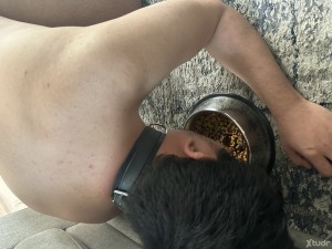Xtudr - AmoLeafar: Más que un dominante, soy un Amo que transforma putos.
Con años de experiencia real en el BDSM, sé exactamente cómo quebr...