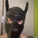 Xtudr - servirMaster: Pasivo, sumis...