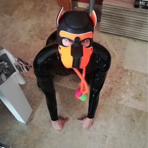 Xtudr - samgiors: I like hard and dominant Masters, who know how to take me to the limit. I have a room equipped with material.
I'm particul...
