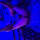 Xtudr - Viciosotragon: Soy un tio v...