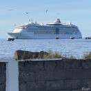 Xtudr - fhevt1z1: I’m new here