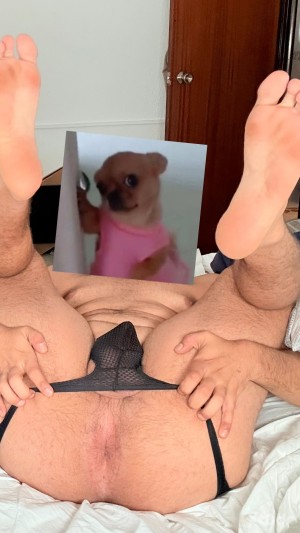 Xtudr - Beta_boy: I'm a sub with little experience but with a lot of desire to obey.