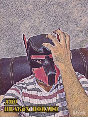 Xtudr - DragónDominante: Gusto por la sumisión total y absoluta. La devoción es exquisita! Vamos... Dime tus fantasias...