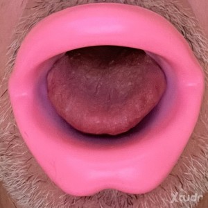 Xtudr - Gorgechaude:  