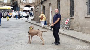 Xtudr - Servicialmamon: Bald with grey beard. Very hairy, servicial and obedient. Always available