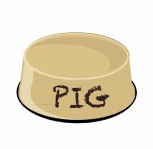 Xtudr - Marrano: What are you looking for today? Bottom, submissive, and piggy.