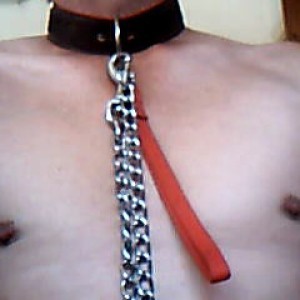 Xtudr - dogpep: Soy una perra madura esclava/sumisa, con experiencia. Con ideas claras, dócil. servicial, dispuesto, entregado, obediente y ...