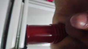 Xtudr - ositoAPM: In search of a dominant man to serve.
