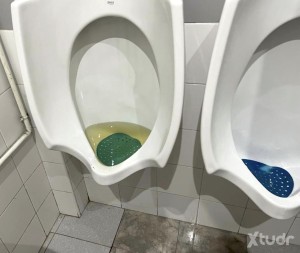 Xtudr - urinarionovato: urinario novato