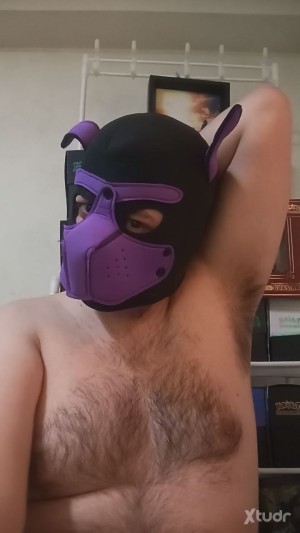 Xtudr - PuppyPetrus: Soy un Beta supongo, no tengo manada y soy nuevo en el puppy play. Quiero aprender y conocer gente nueva. Tengo novio y...