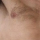 Xtudr - Lamosobacos: Soy muy cerdo ...