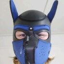 Xtudr - GayDog: I'm interested in t...