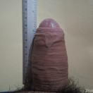 Xtudr - Cerdo__mascota: Soy un cerd...