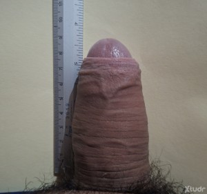 Xtudr - Cerdo__mascota: Soy un cerdo sumiso con el pito chico busco un verdadero macho sucio qué me trate como su mascota 