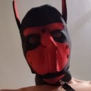 Xtudr - ihfik44c: I'm a little pupp...