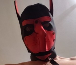 Xtudr - ihfik44c: Soy perrillo. Busco amo cariñoso y cerdo con el que tener química 