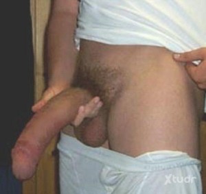 Xtudr - alfons_hot: I'm a mature bi top with a good penis and I'm looking for young friends who want to be with an experienced man introduci...