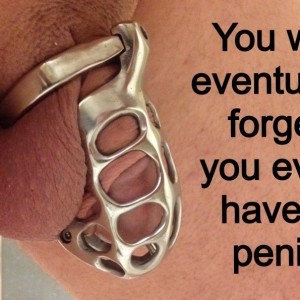 Xtudr - tracio967: I'm looking for a submissive, inferior slave bitch who only desires to obey and have someone wisely administer their life...