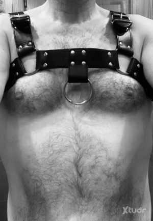 Xtudr - lordcabron: 
Busco esclavo con jaula de castidad que me entregue la llave y me ceda todo el control.
¿Quieres sufrir y ofrecerme tu ...