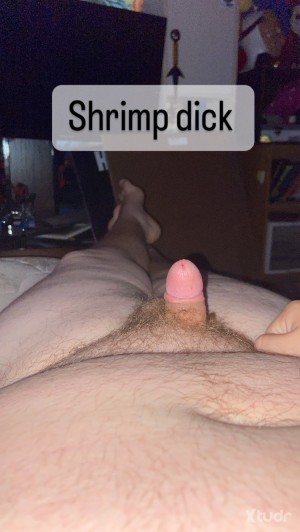 Xtudr - fat_fagpigbitch: Soy un esclavo pequeño y cachondo que necesita a un amo verdadero para usarme y controlarme, seré un buen esclavo o...