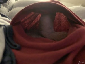 Xtudr - adan227: I'm slender more submissive and with little experience