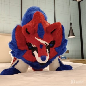 Xtudr - pupfur05: 