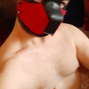 Xtudr - Dorgon: A normal guy wanting to have a good time and good vibes