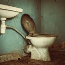 Xtudr - WC_PERRAKO_scat: Busco homb...