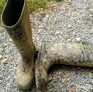 Xtudr - Busco_Dominante: I'm looking for a dominant cock to please. Absolute seriousness and discretion.
