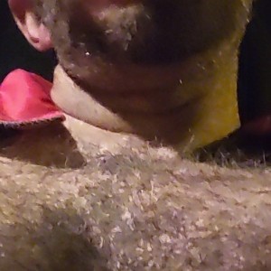 Xtudr - MorBBoCerdeo: Dominant man looking for submissive bottoms to impregnate and jerk off cum from others, interested send message.