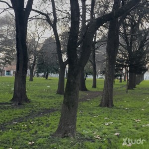 Xtudr - IDN99: 