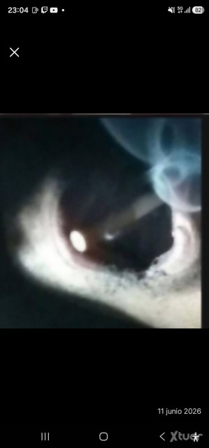 Xtudr - cenicero47bdn: hola soy un cenicero gay me encanta tener ls boca de colillas cigarros y porros y alguna tacha que se aya medio apaga...