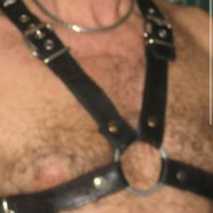 Xtudr - activo_55: What are you looking for today?