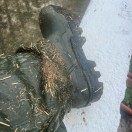 Xtudr - Cerdo-oso: Muy cerdo