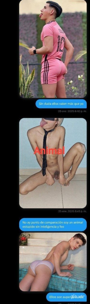 Xtudr - Perritonferior: Soy un perro inferior estoy pendejo soy imbécil solo sirvo para que la gente me humille y se burlen de mi condición ...