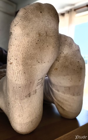 Xtudr - CanaryFeetDom: 