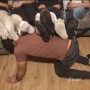 Xtudr - ScorpioMAD:  Yo perro muy m...