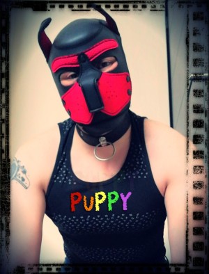 Xtudr - Inugami: A playful dog, I like being treated as such.