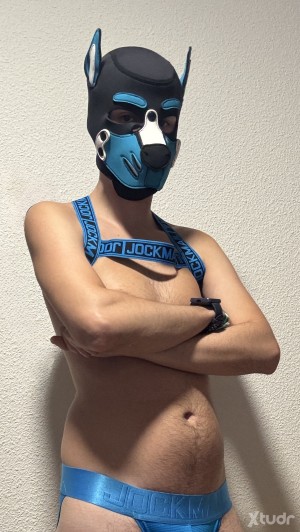 Xtudr - Amo19cm: Dom busca sumiso o puppy sin dueño para entrenar y educar a mi gusto.
Máximo 30 años quien tenga más que no me hable o le b...