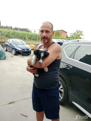 Xtudr - Ourensevers: Chico deportista sanite en general con buen rabo y buen culo. En general soy pasivo y sumiso, pero disfruto de una buen...